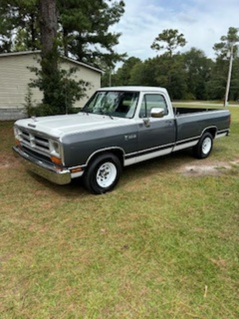 1990 Dodge D series's photo